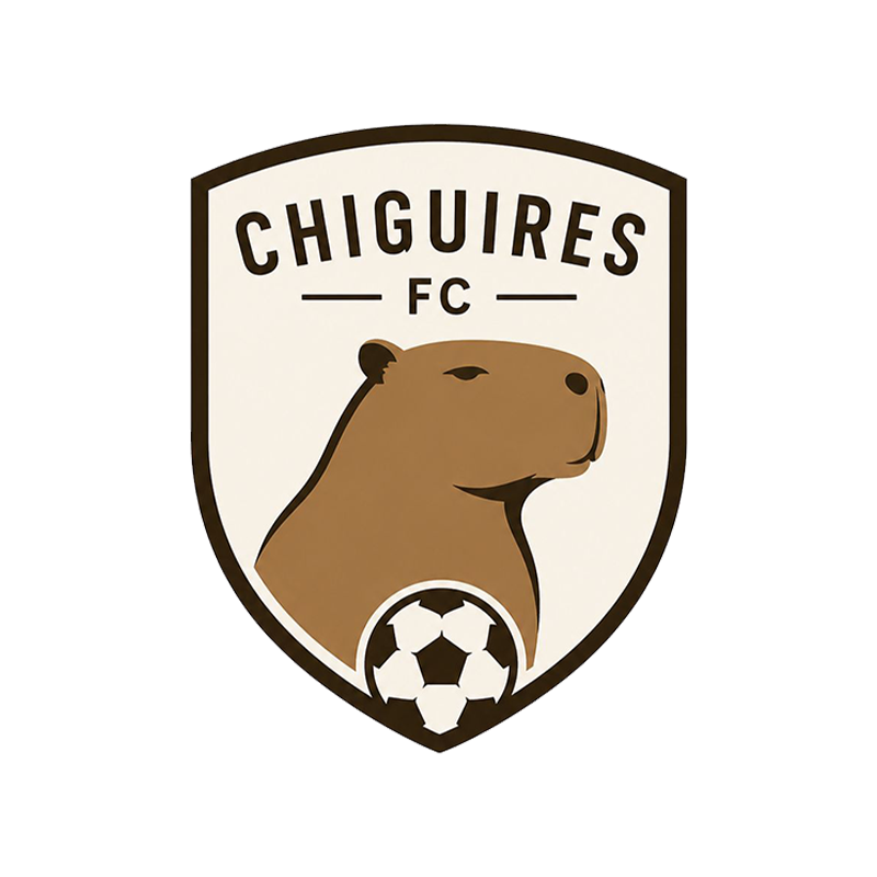 CHI logo